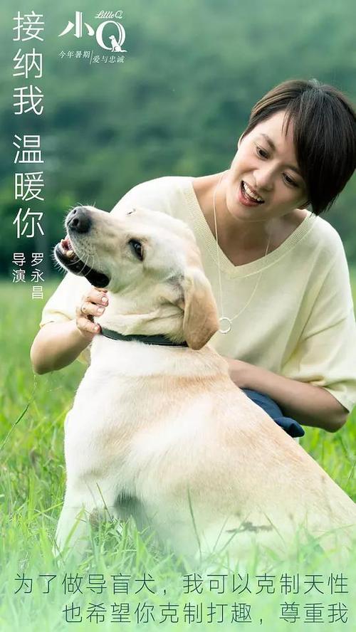 普福尔茨海姆应用技术大学毕业证
